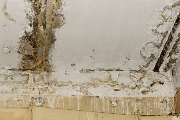 Asbestos and Lead Testing During Mold Inspection